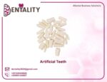Artificial tooth