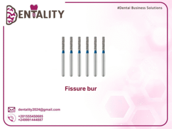 Fissure bur
