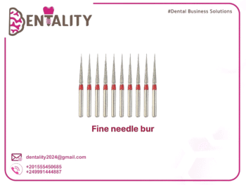 Fine needle bur