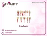 Endo Teeth